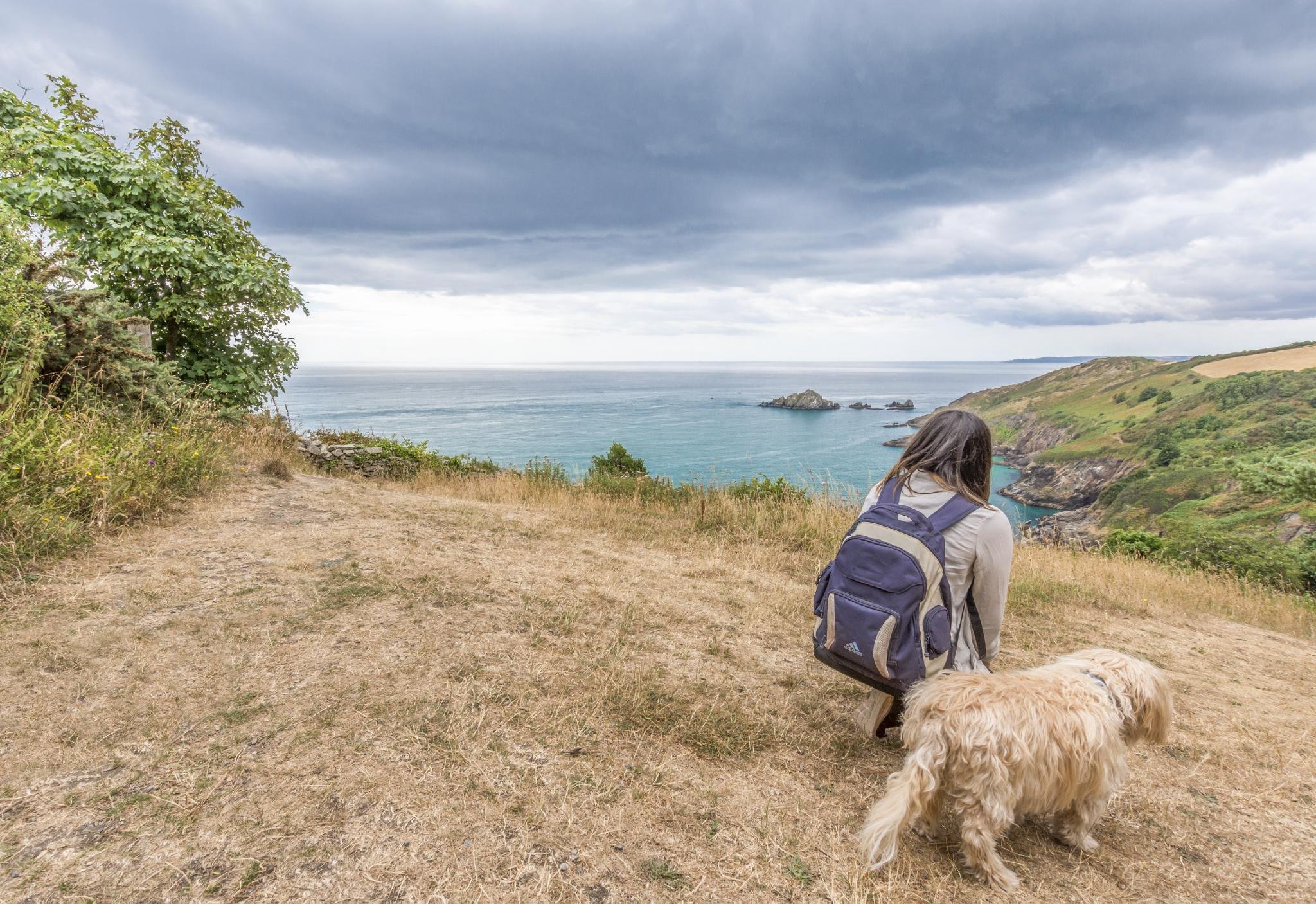 Person with a blue backpack sitting on a grassy hill with a dog, overlooking a view of the ocean, islands, and cliffs under a cloudy sky.