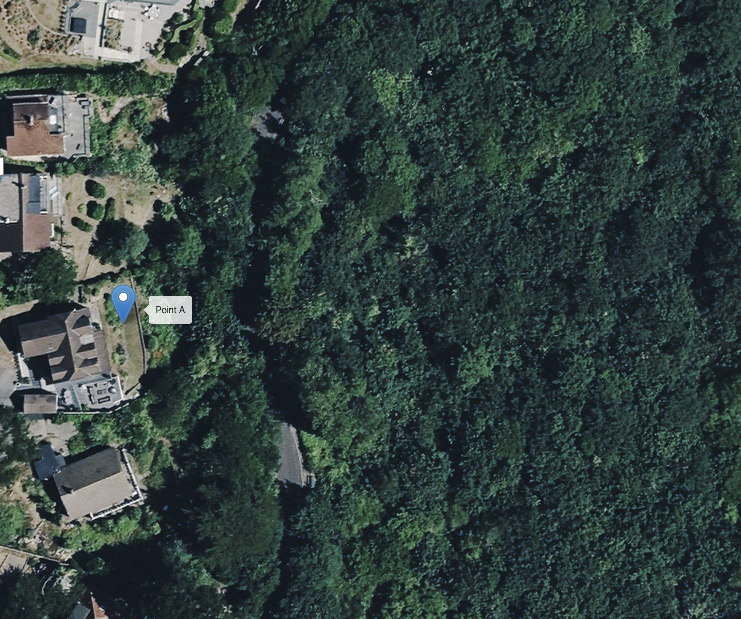 Aerial view of a suburban neighborhood bordered by a dense forest, with several houses, yards, and a labeled Point A marker on one property.