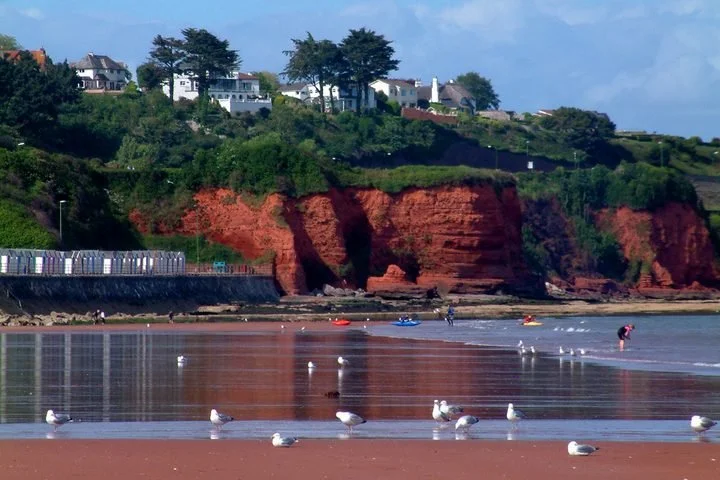 A scenic beach with red cliffs and green hillside homes in the background. The beach has several seagulls and a few small boats near the shoreline, with one person walking along the beach.