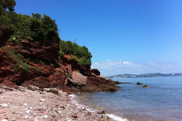 A rocky shoreline with red cliffs and green foliage, next to a calm body of water under a clear blue sky.