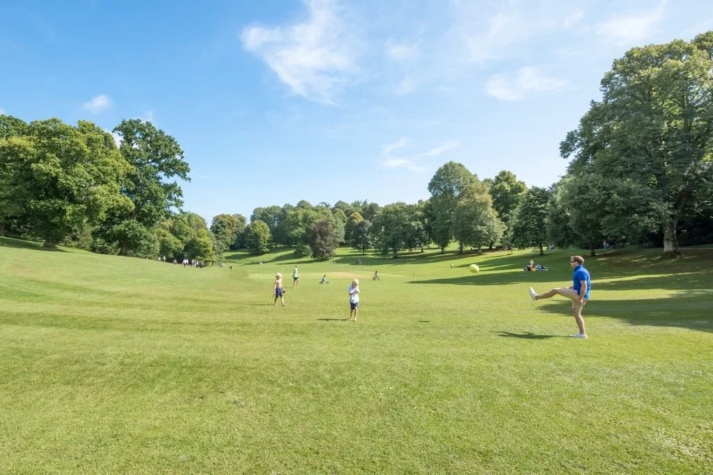 People playing soccer in a large grassy park with trees and a bright blue sky.