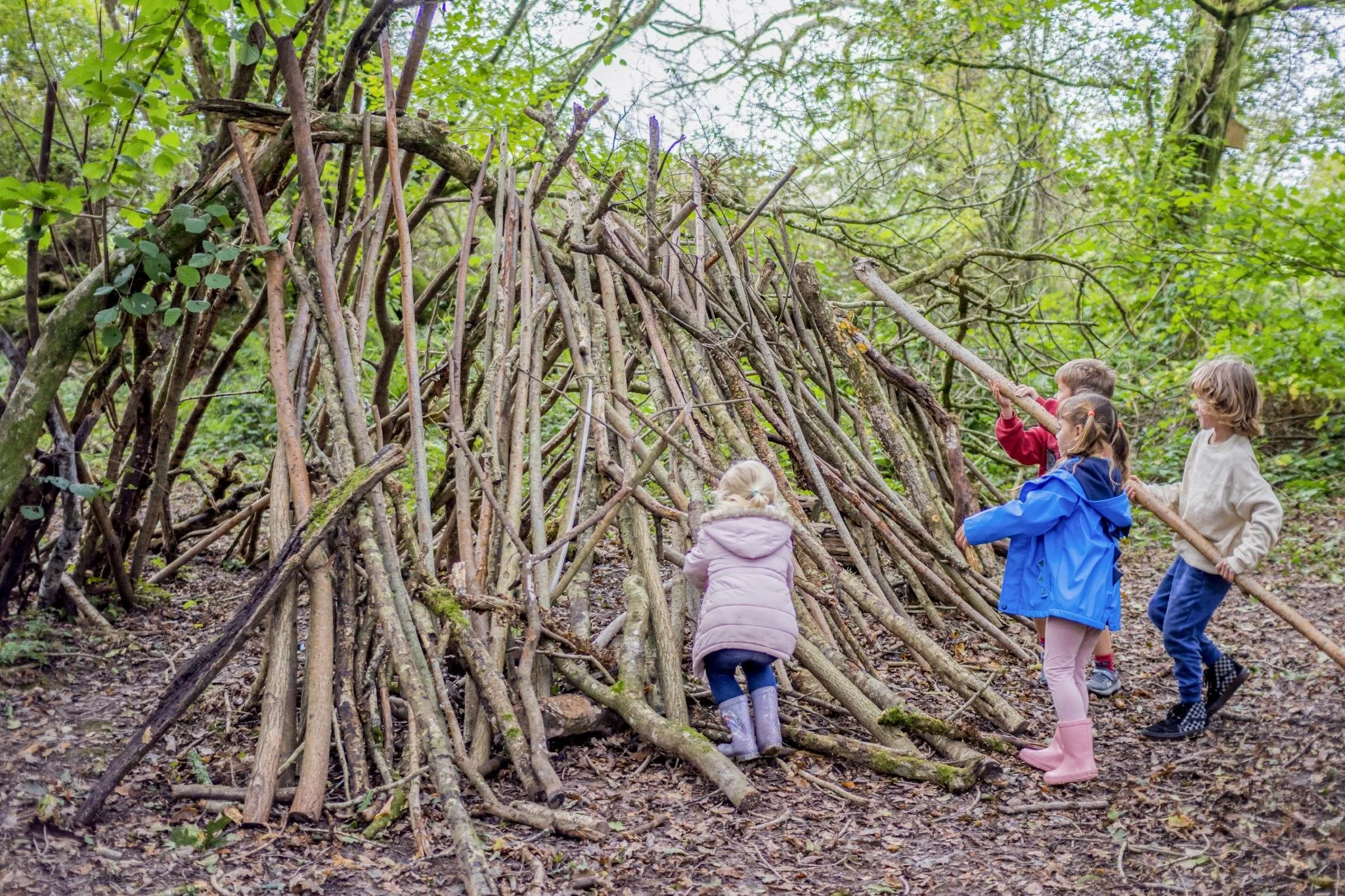 Group of children building a large shelter out of sticks and branches in a forested area.