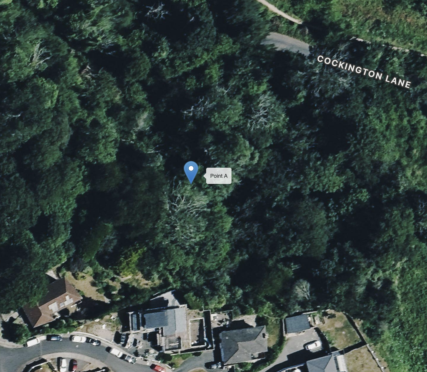 Aerial view of a wooded area with a road labeled Cockington Lane and a residential neighborhood with houses and parked cars, centered around Point A.
