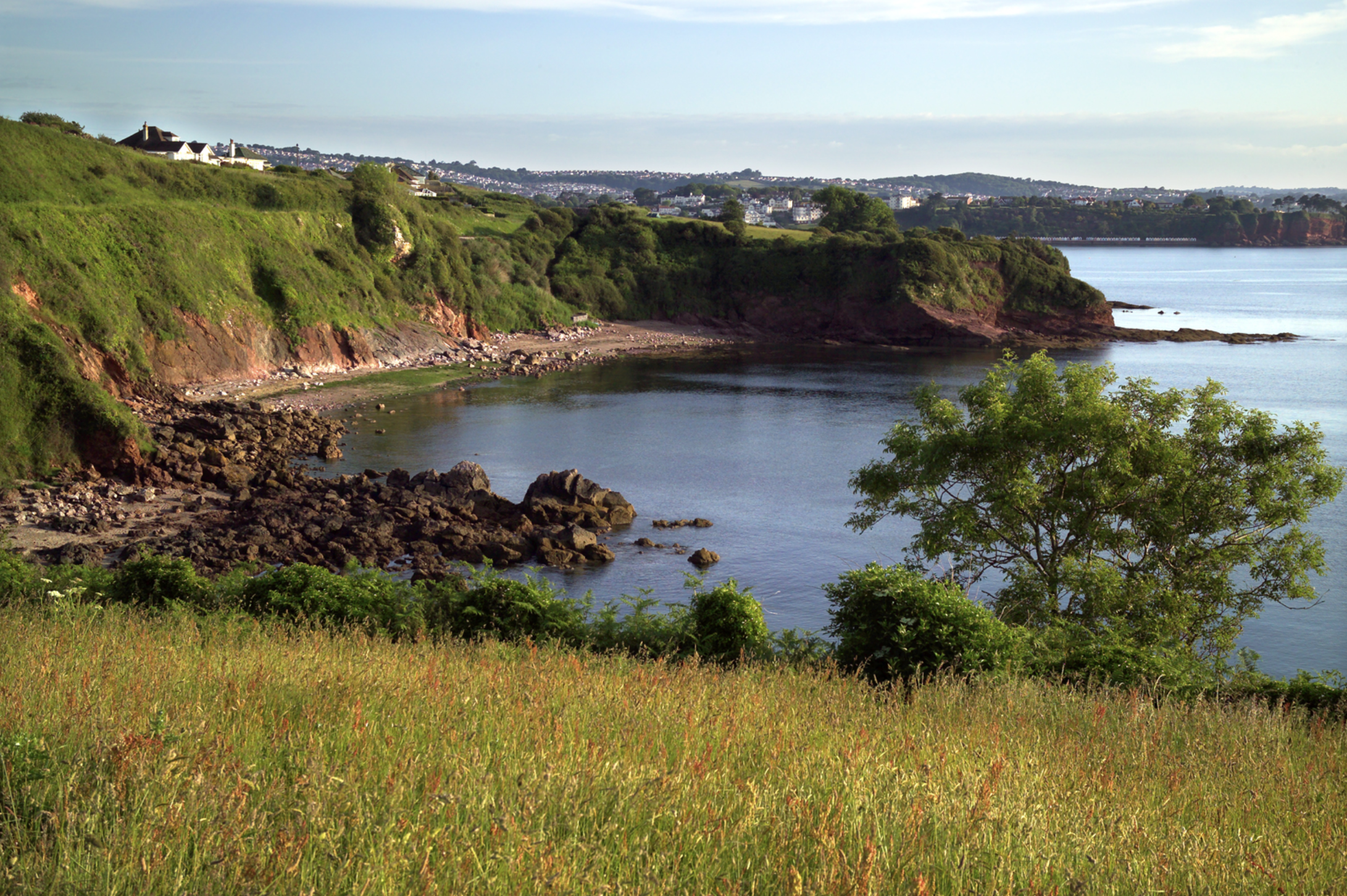 Coastal landscape with green grassy foreground, rocky shoreline, and green cliffs with houses overlooking the water. In the background, hills and a distant town are visible under a blue sky with some clouds.
