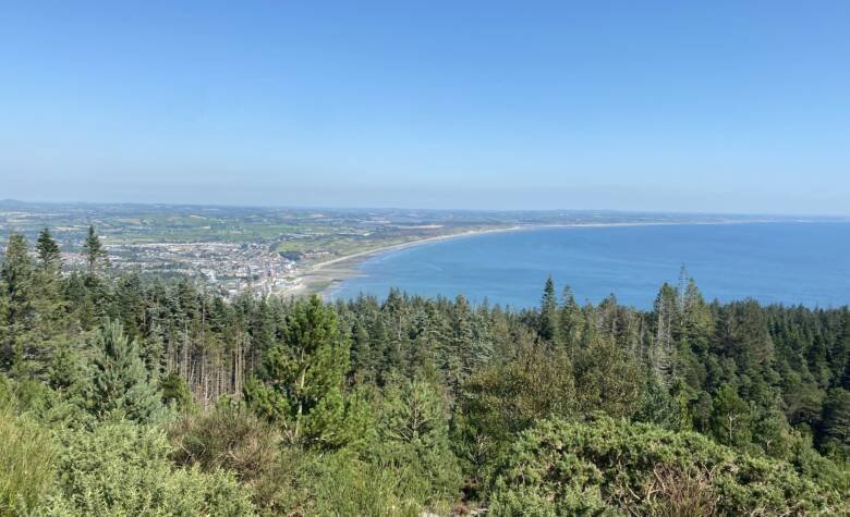 A panoramic view of a coastal landscape featuring a dense forest in the foreground, a stretch of beach along the shoreline, and a distant town with buildings and roads under a clear blue sky.