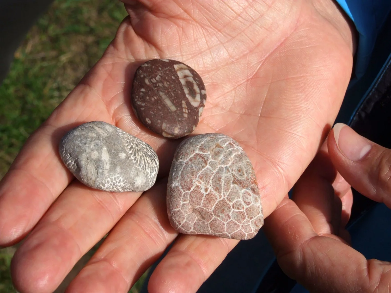 Three rocks with different patterns and colors held in a person's hand.