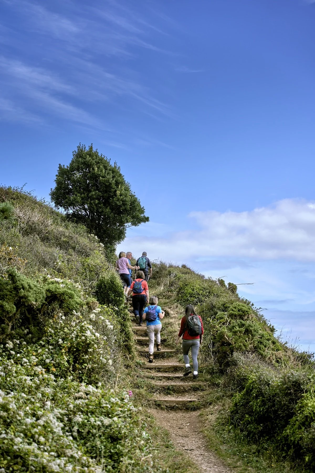 A group of hikers walking up a dirt trail on a hillside covered with green vegetation and flowers, under a bright blue sky with some clouds.