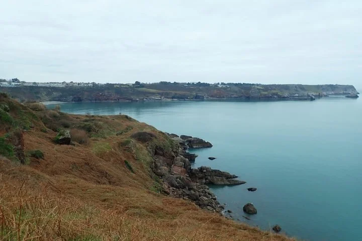 Cliffside view of the ocean with grassy hills and rocky shoreline, overcast sky.