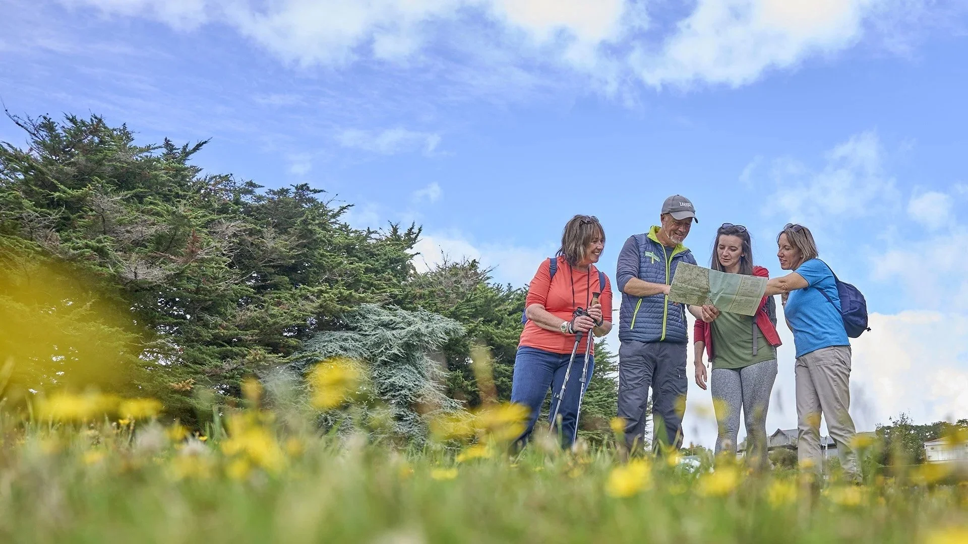 Four people on a hiking trip examining a map outdoors, surrounded by grass, trees, and a blue sky.