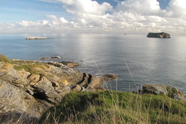 Coastal view with rocky shoreline, grassy foreground, and calm ocean with small islands in the distance under partly cloudy sky.