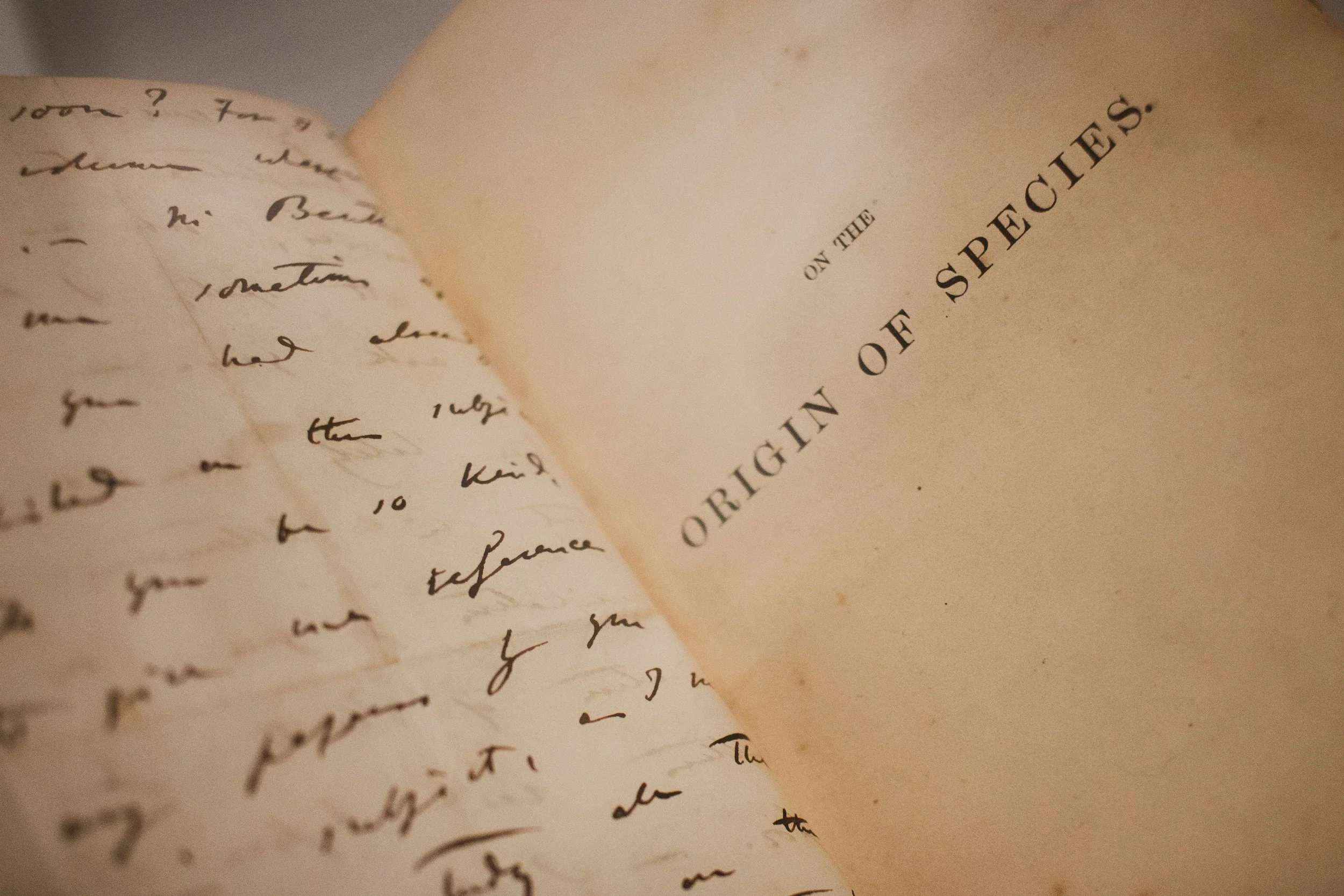 Close-up of an open vintage book with handwritten text on the left page and printed text on the right page, titled 'ORIGINAL OF A SPECIES'.