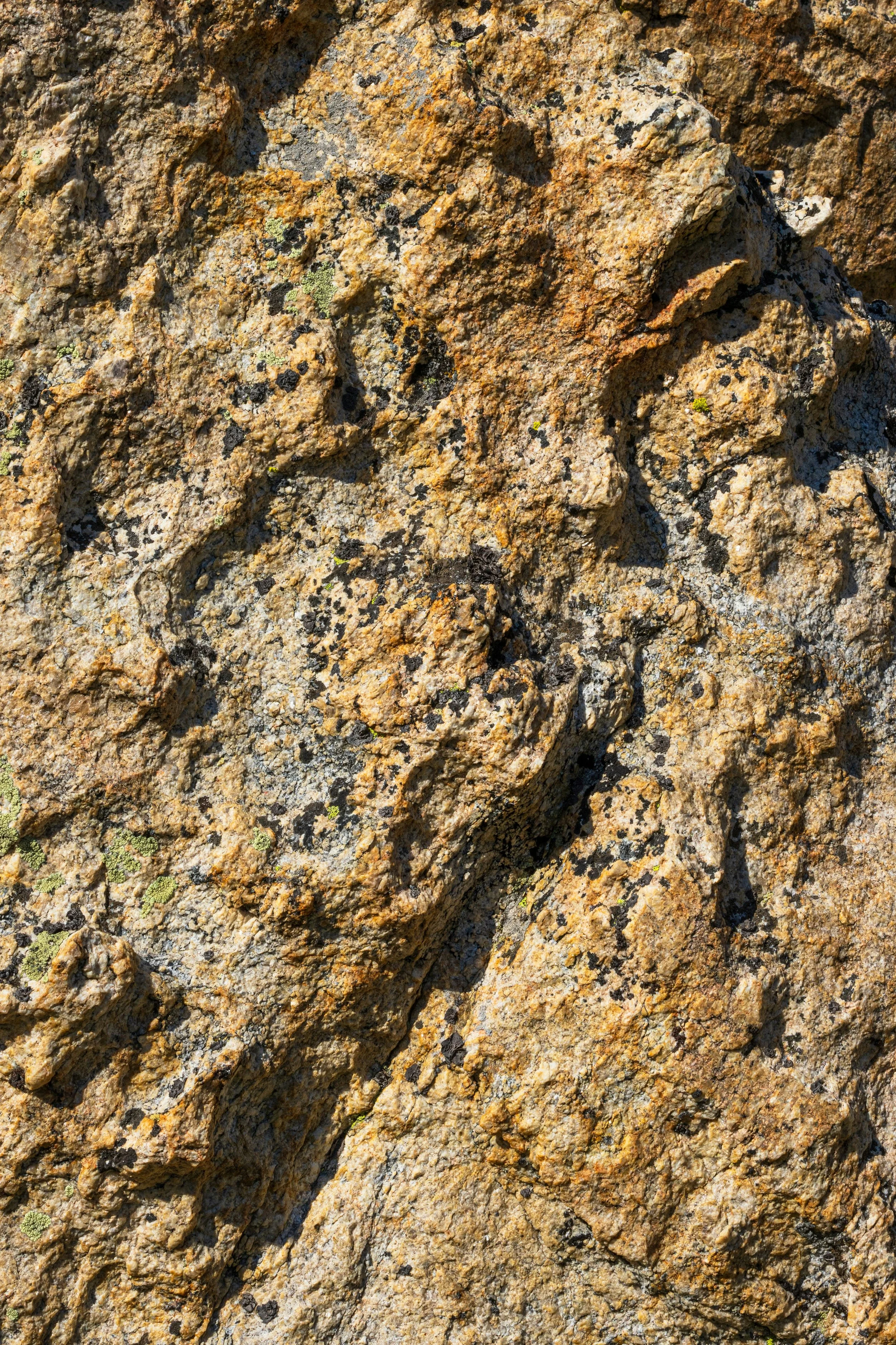 Close-up of a textured, rugged rock surface with shades of brown, tan, and gray, with patches of black and small green lichen.