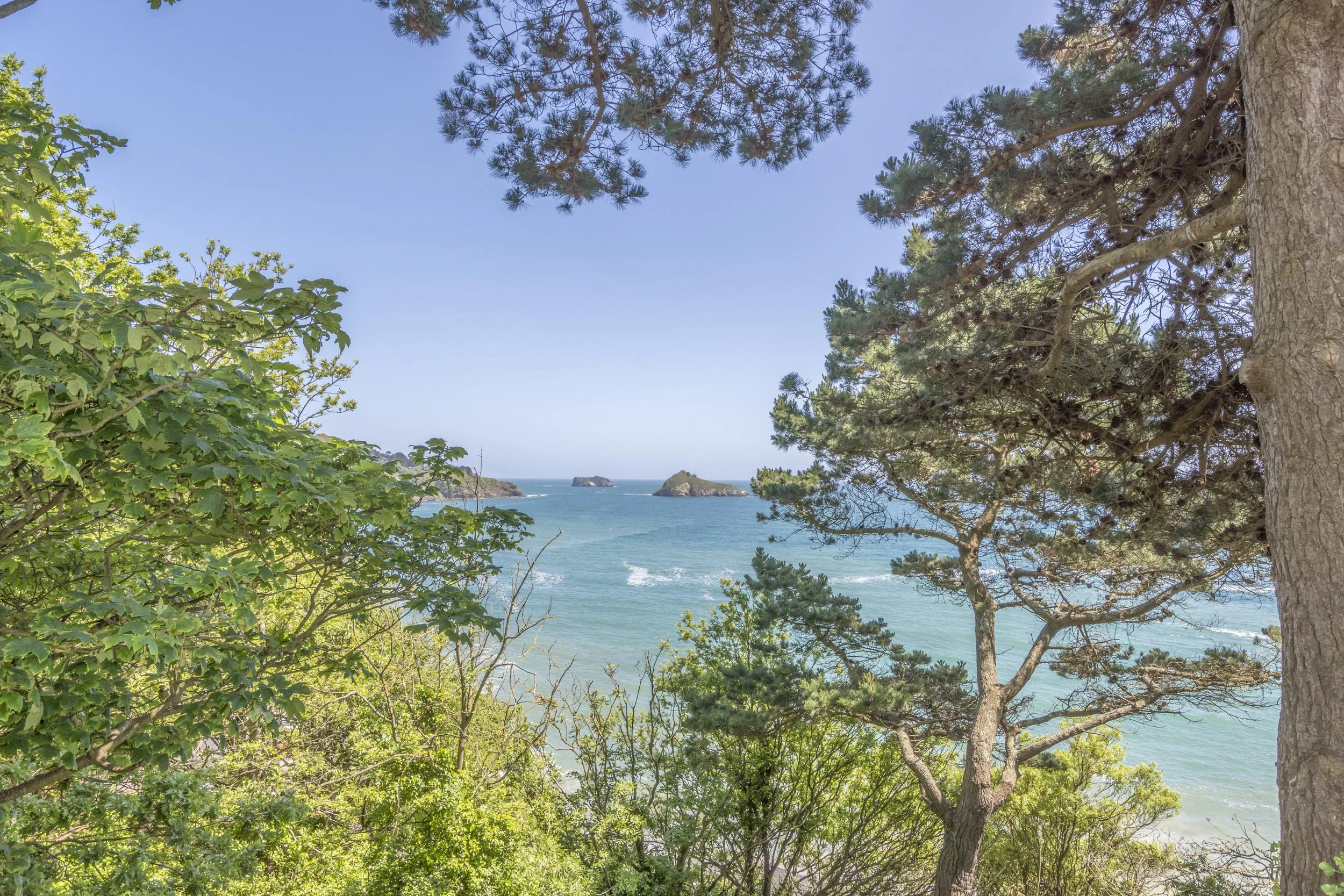 View of the ocean through dense green trees and shrubbery under a clear blue sky with some small islands in the distance.