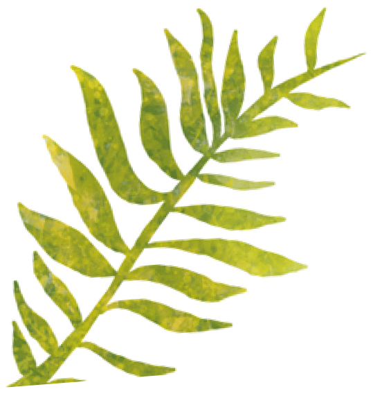 A close-up of a green sprig with elongated leaves.