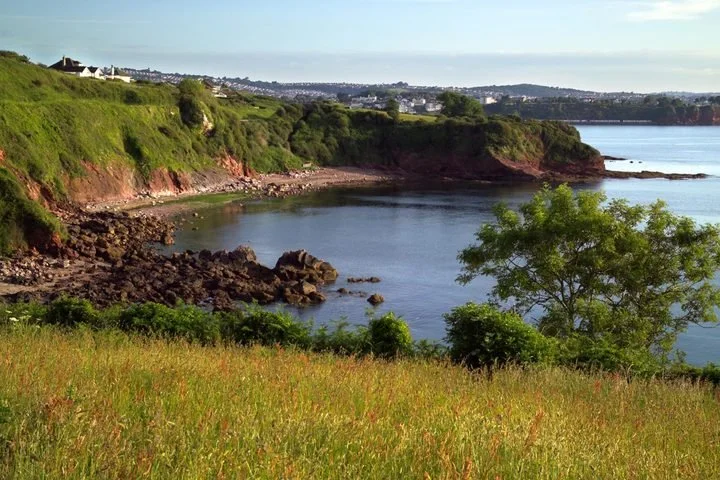 Scenic view of a coastal area with green grassy foreground, a tree, rocky shoreline, and a calm body of water bordered by hilltops with houses in the distance.