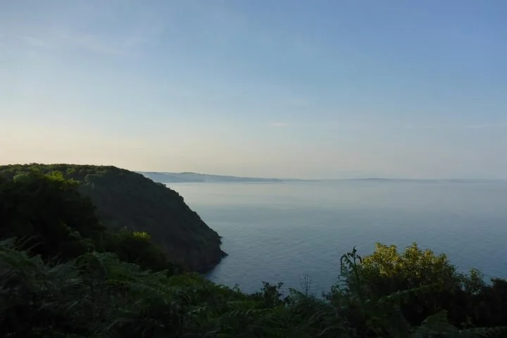 Scenic view of a coastline with green trees and cliffs overlooking calm ocean water under a clear sky.