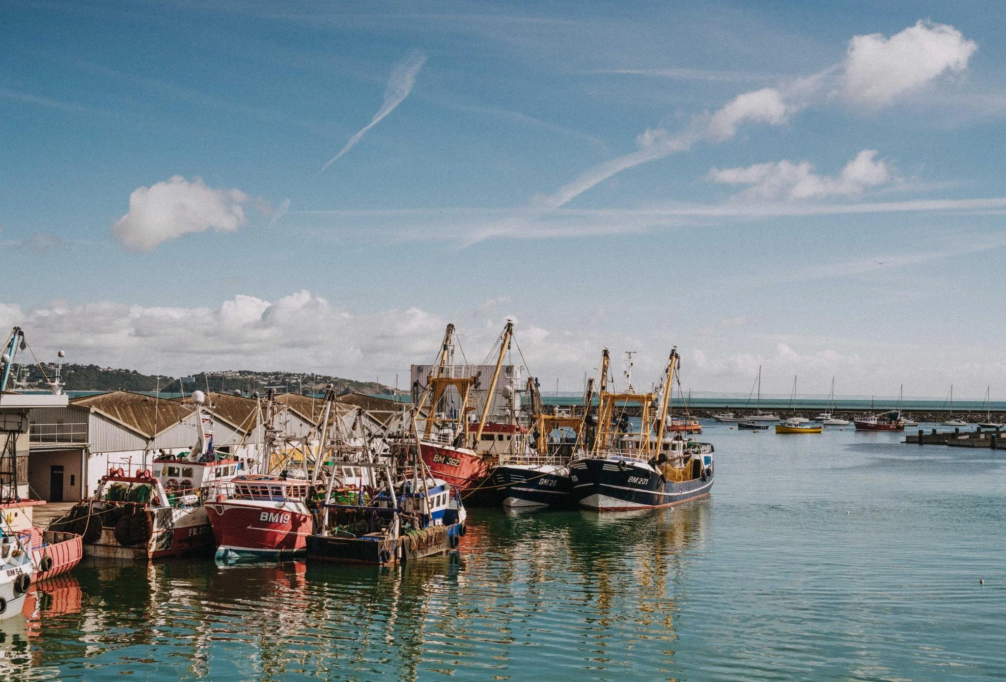 A marina with boats docked along the water, with buildings and a breakwater in the background under a partly cloudy sky.