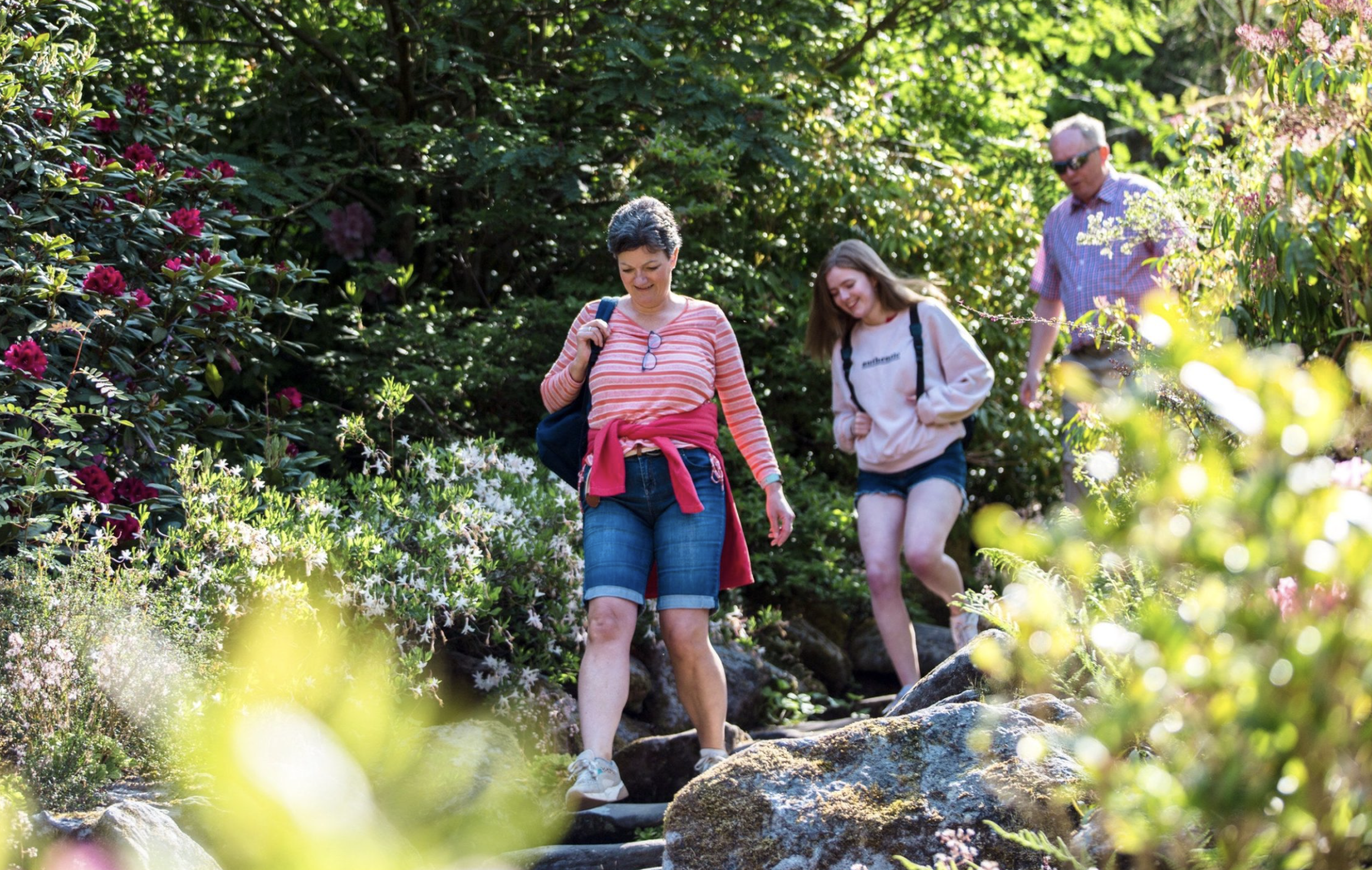Three people hiking on a rocky trail surrounded by lush greenery and blooming flowers.