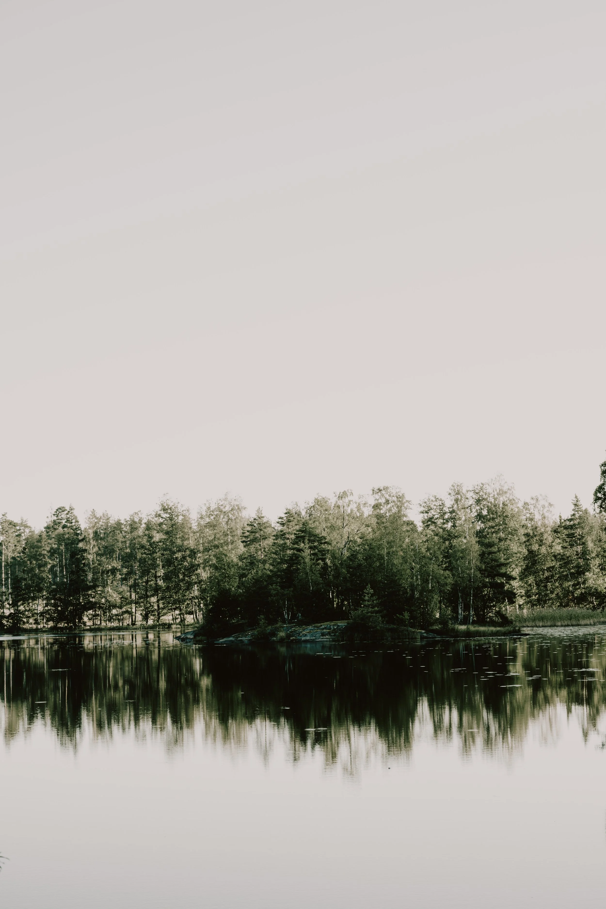 A calm body of water reflecting a line of trees with green foliage, under a pale sky.