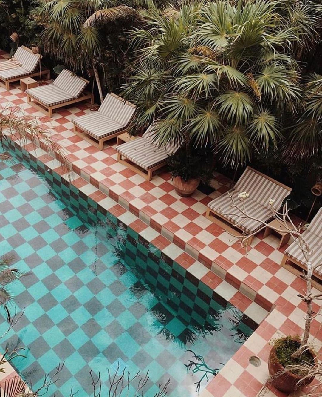 Get The Look : Checkmate