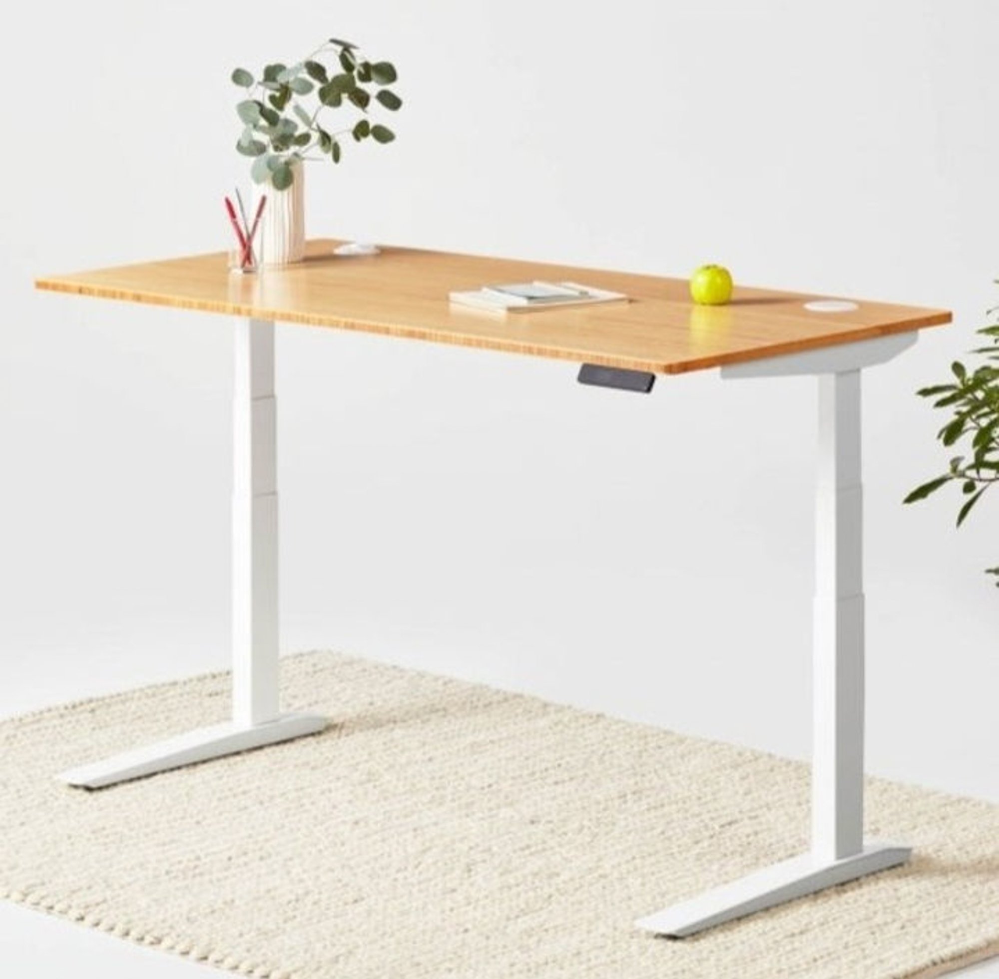 Fully Jarvis Bamboo Standing Desk starting at $449