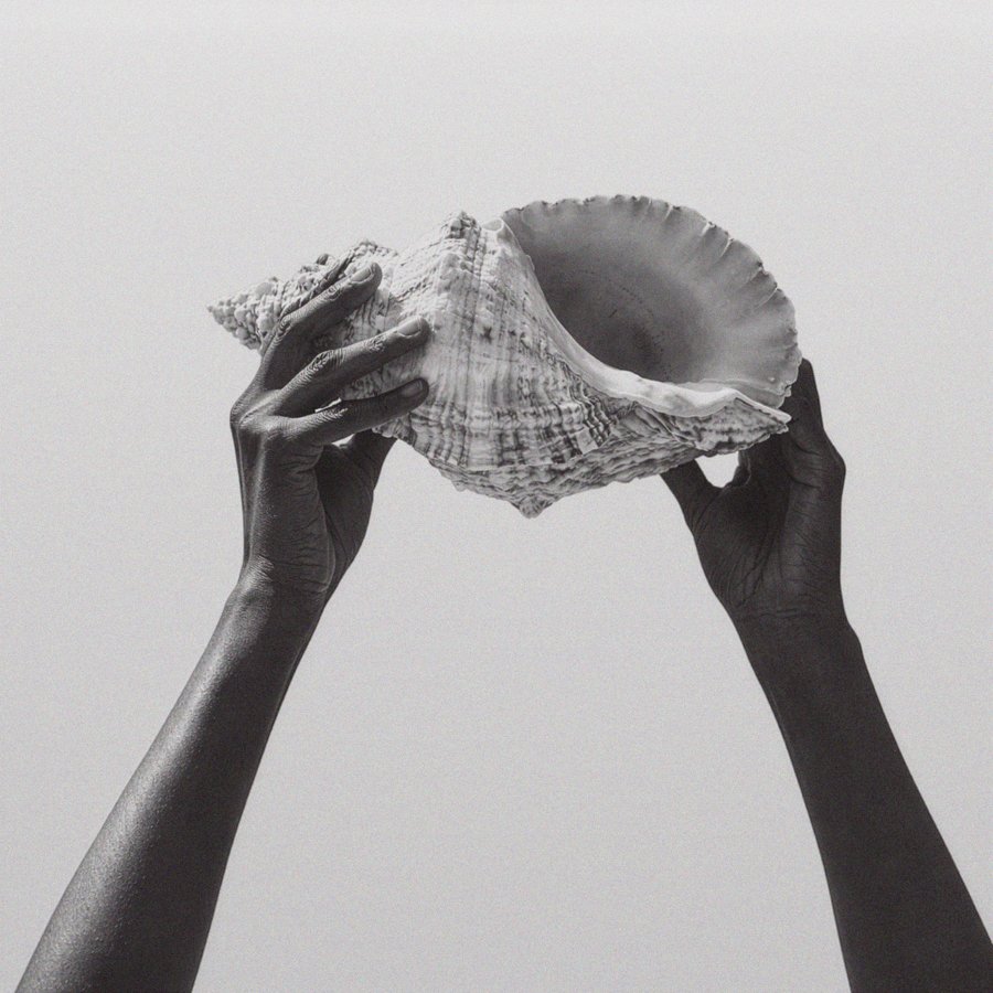 Two hands with dark skin tone holding a large seashell against a plain background.