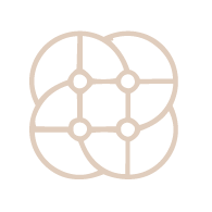 A minimalist line drawing of a multicolored cookie with four segments.