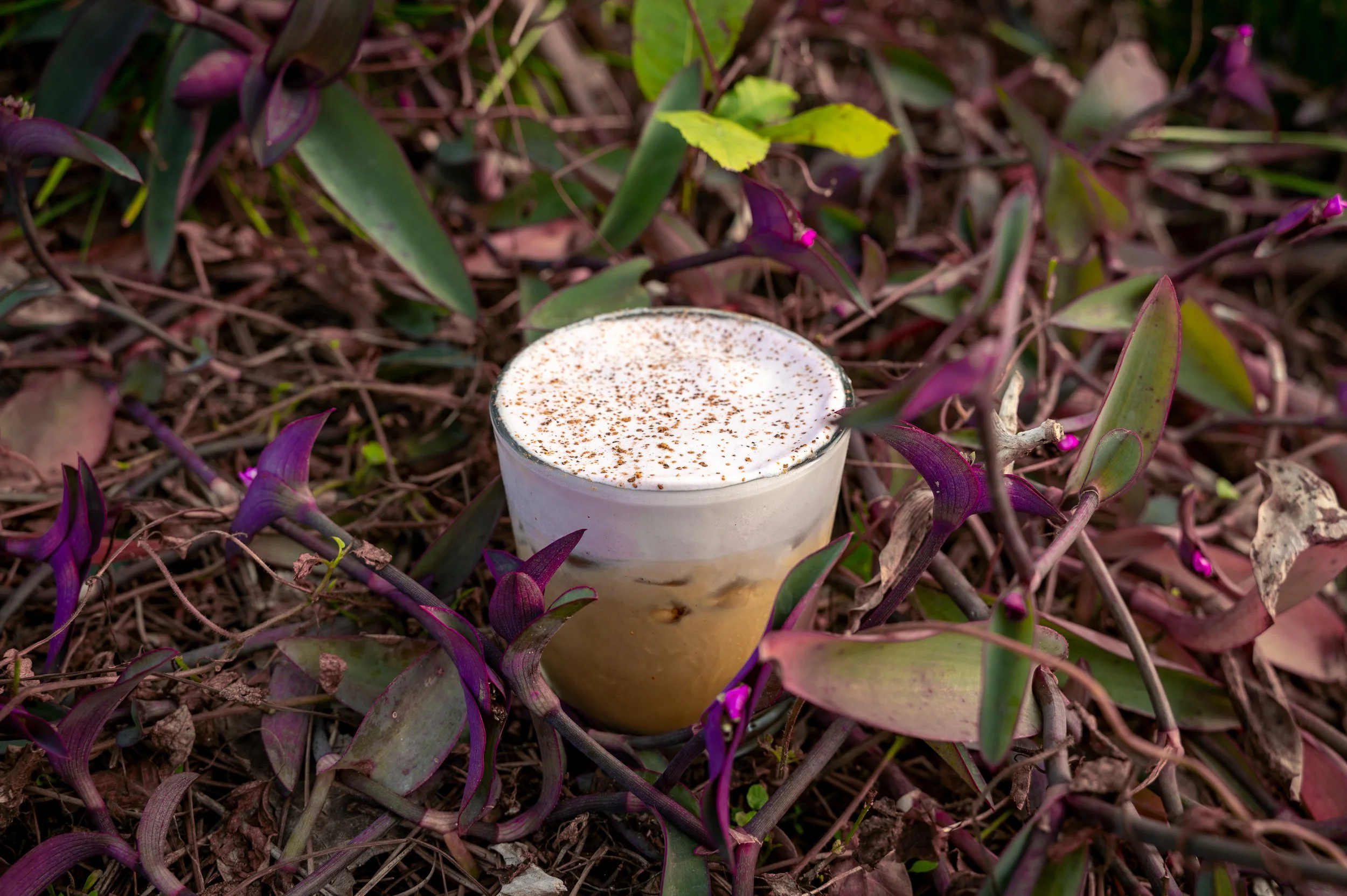 What you're drinking: espresso, sweet potato, cinnamon, ginger, nutmeg, brown sugar, milk, topped with nutmeg.