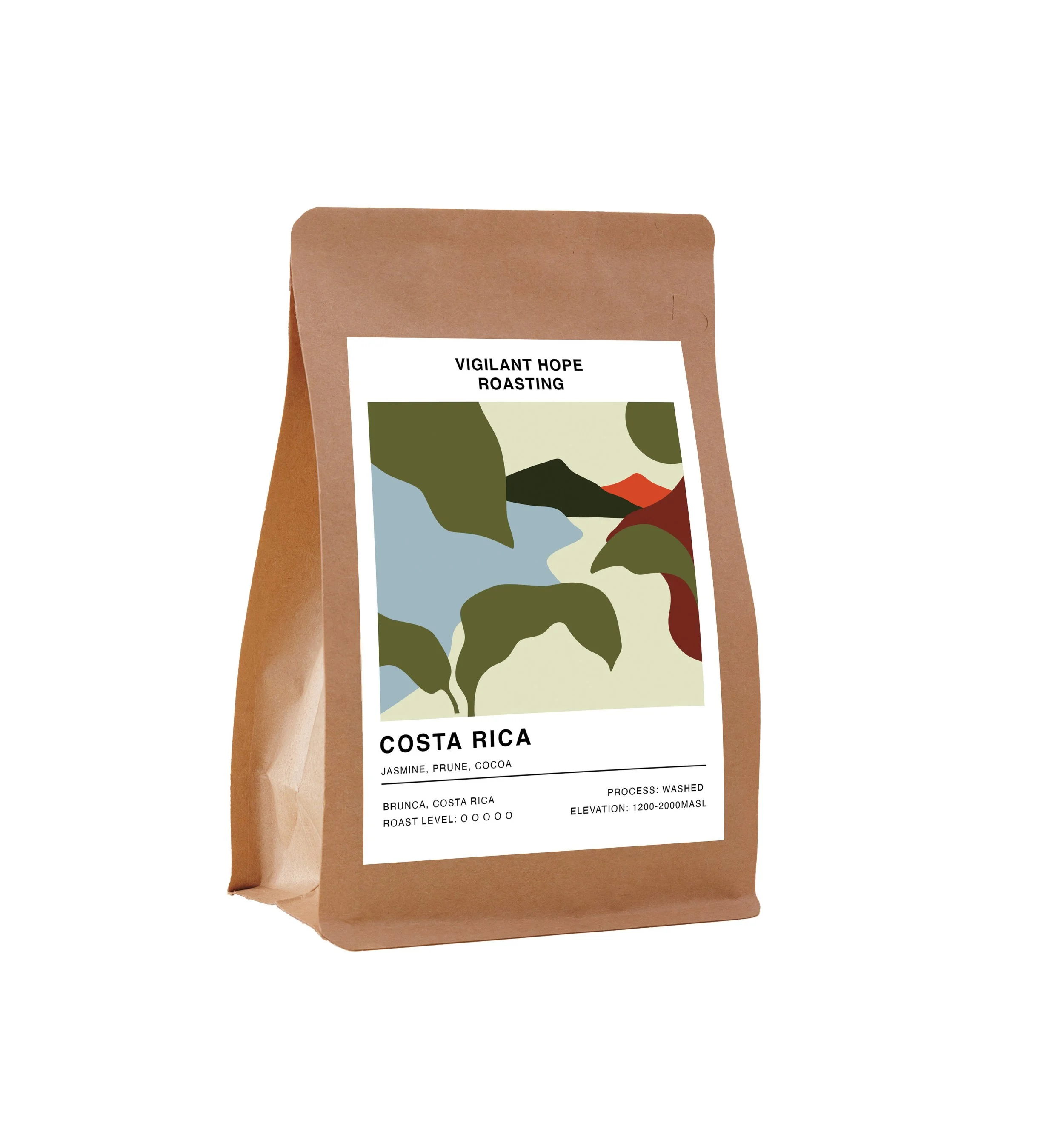 costa rica mock up bag.jpg