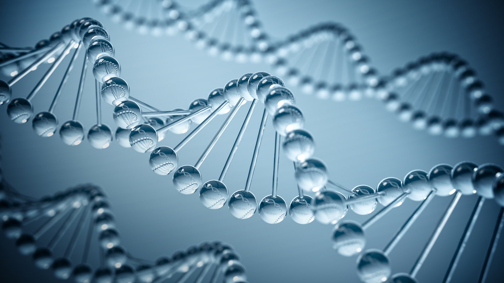 double helix, promote health longevity