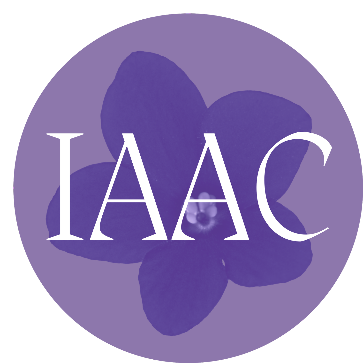 Illinois Abortion Access Collaborative