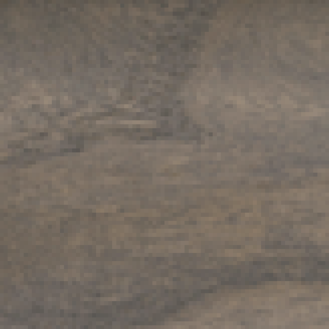 Paulownia Stain Collection Dark Chocolate