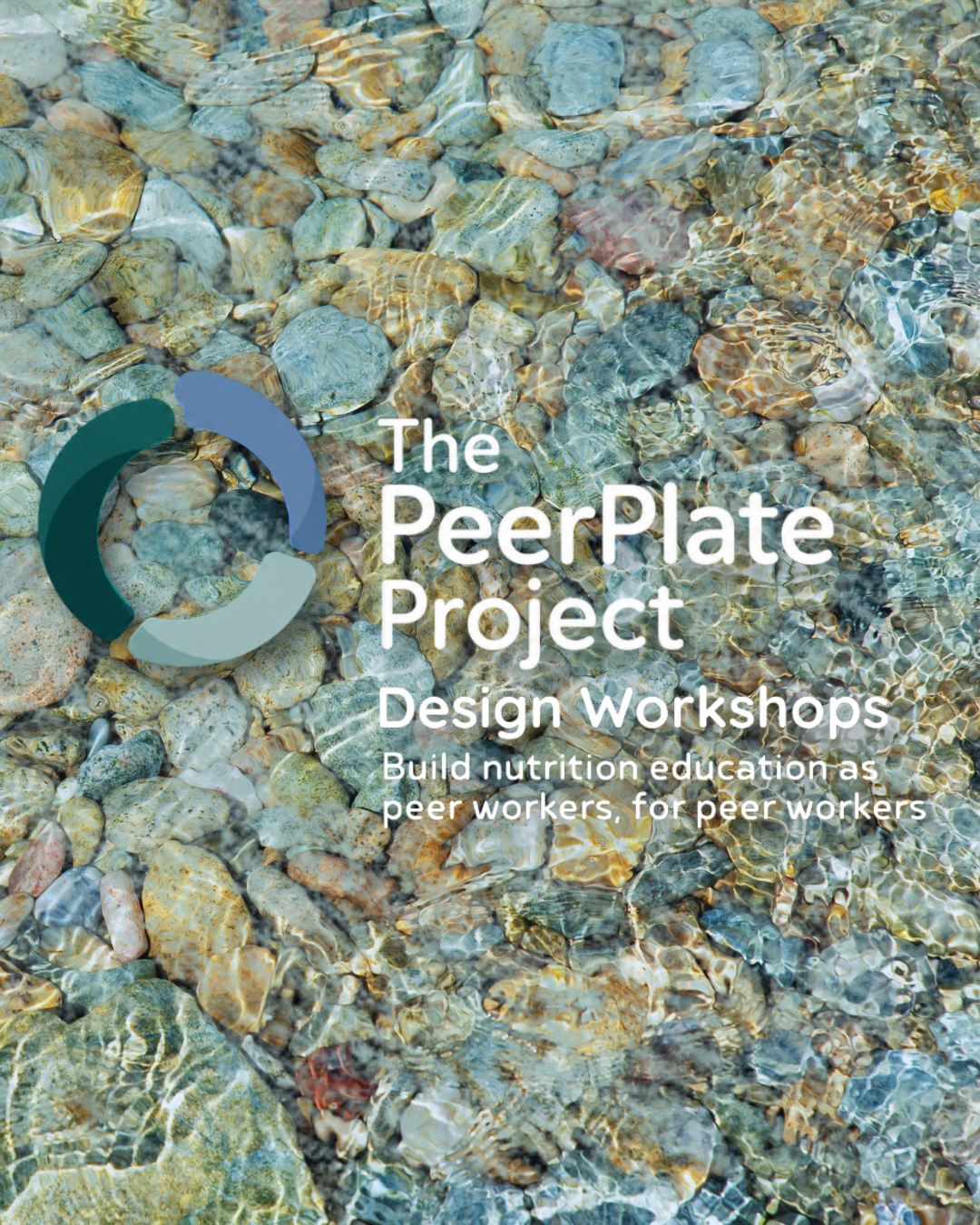 Overlay of text 'The PeerPlate Project Design Workshops Build nutrition education as peer workers, for peer workers' over a background of clear, shallow water with colorful small stones and pebbles visible through the water.