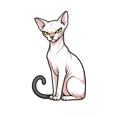 Illustration of a white sphynx cat sitting on a yellow background.