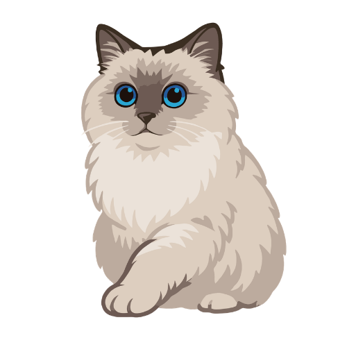 cat illustration