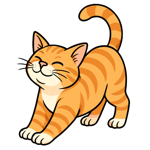 cat illustration