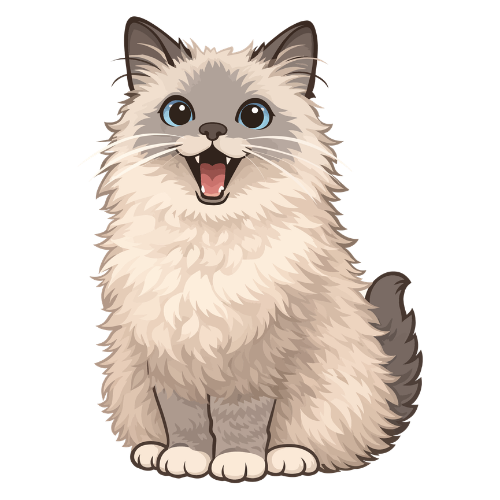 cat illustration