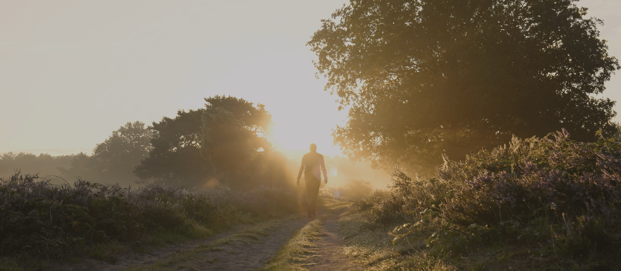 man walking on trail.png