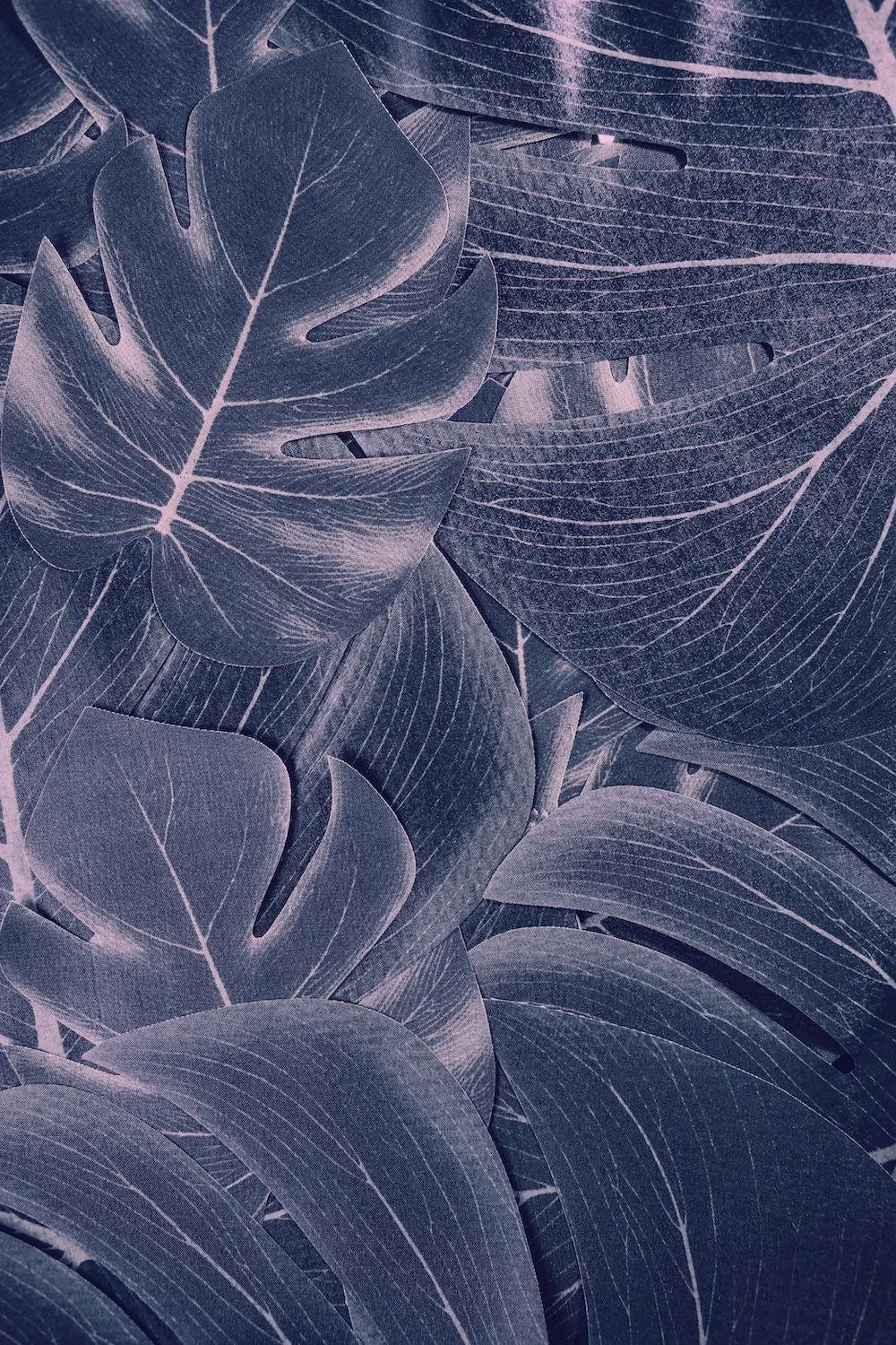 Close-up of large tropical leaves with detailed veins and dark hues, overlapping each other.