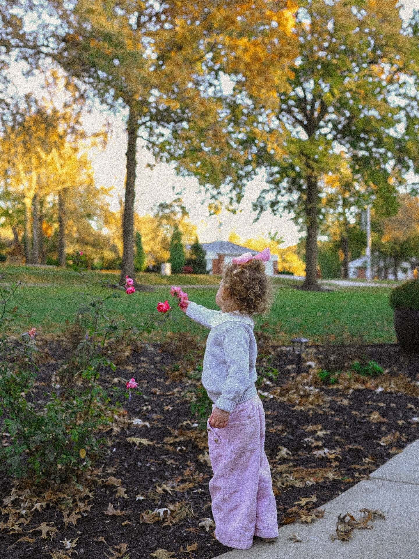 The most wholesome family photo shoot. 🌷

~ digital ~ 

#kcfamilyphotographer #kansascityfamilyphotographer #kansascityphotographer #kansascityphotography