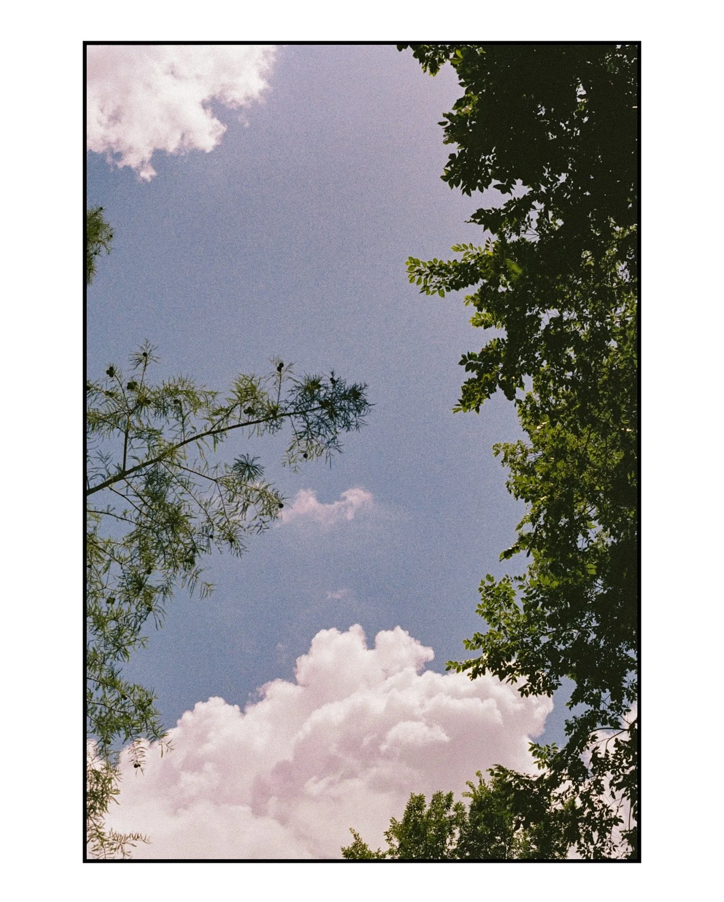 Took the 35mm on a biking trail☕️

#35mmfilm #filmphotography #kansascityphotographer