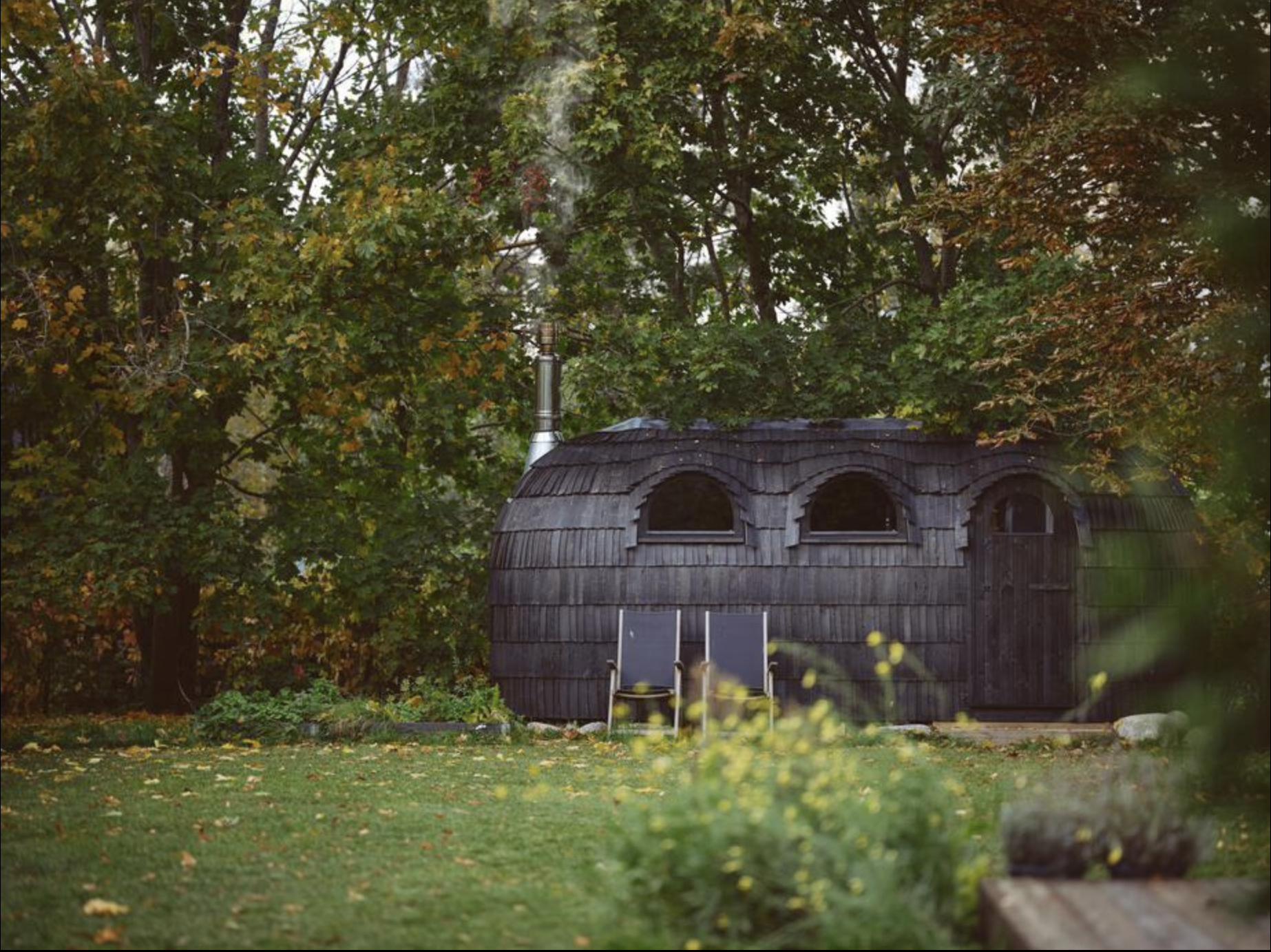 A small wooden shed with arched windows surrounded by trees with autumn foliage, solar panels in the foreground, and grass with fallen leaves.