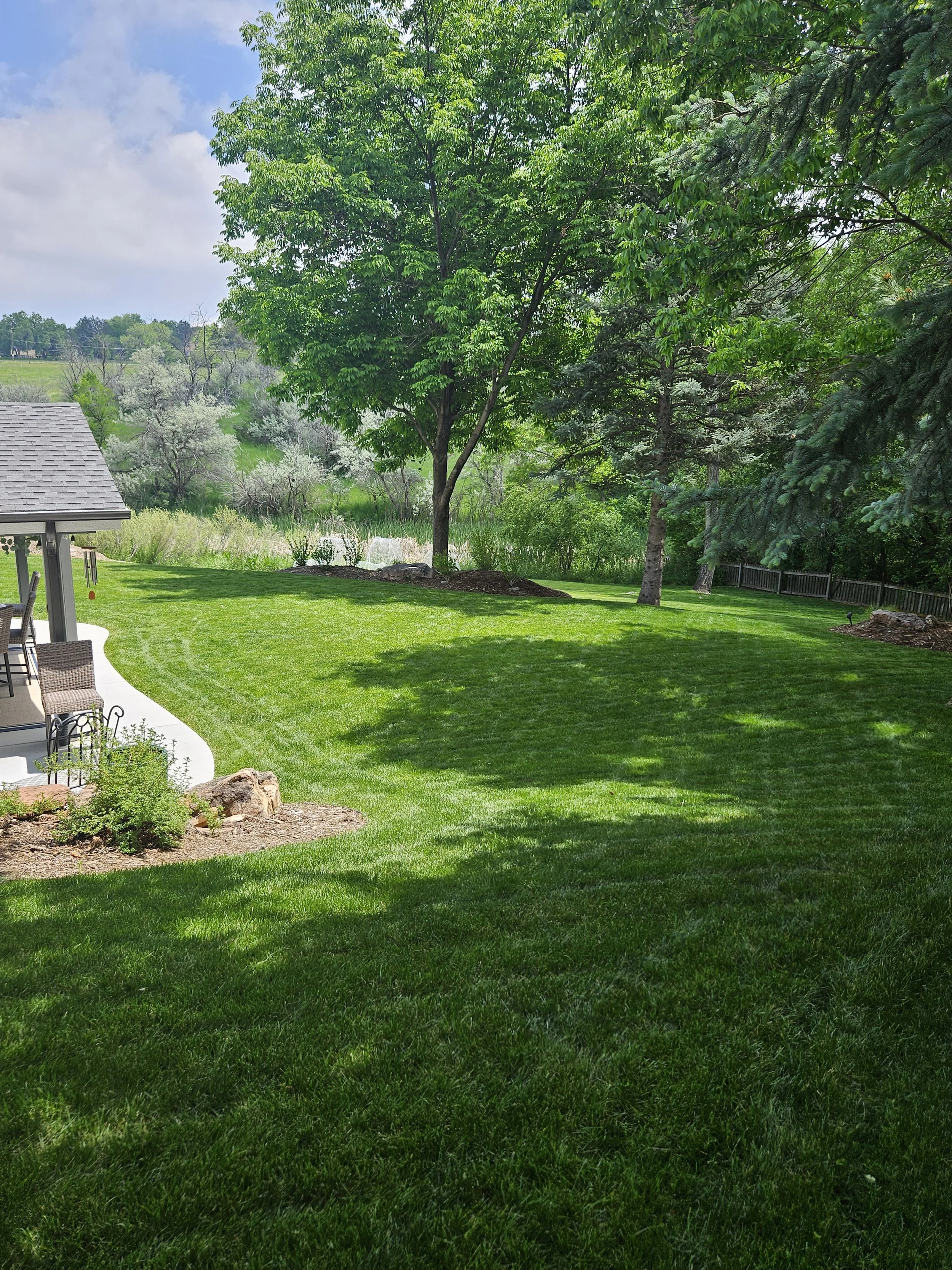 Arvada back yard sod