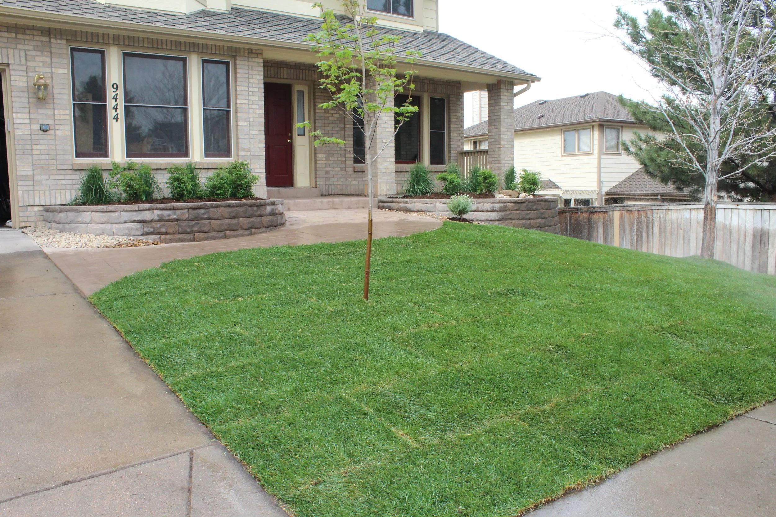 Highlands Ranch front yard sod trees and planters