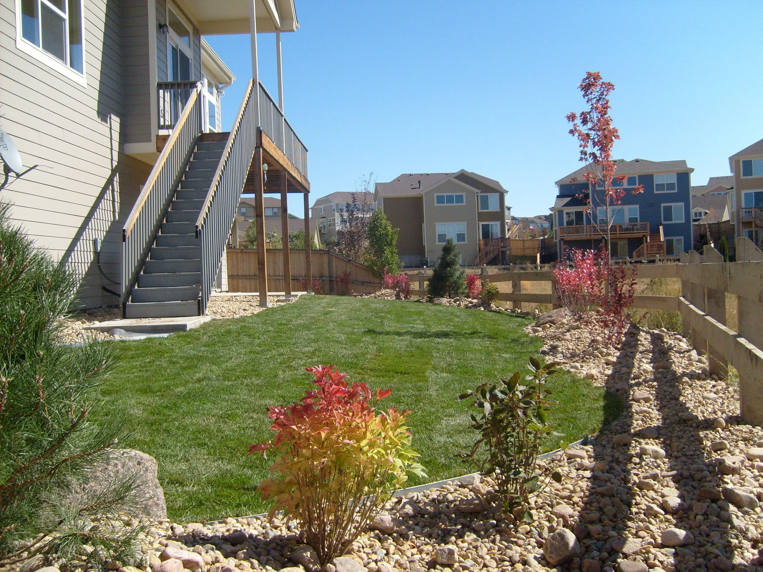 Parker back yard burning bush and autumn blaze maple trees