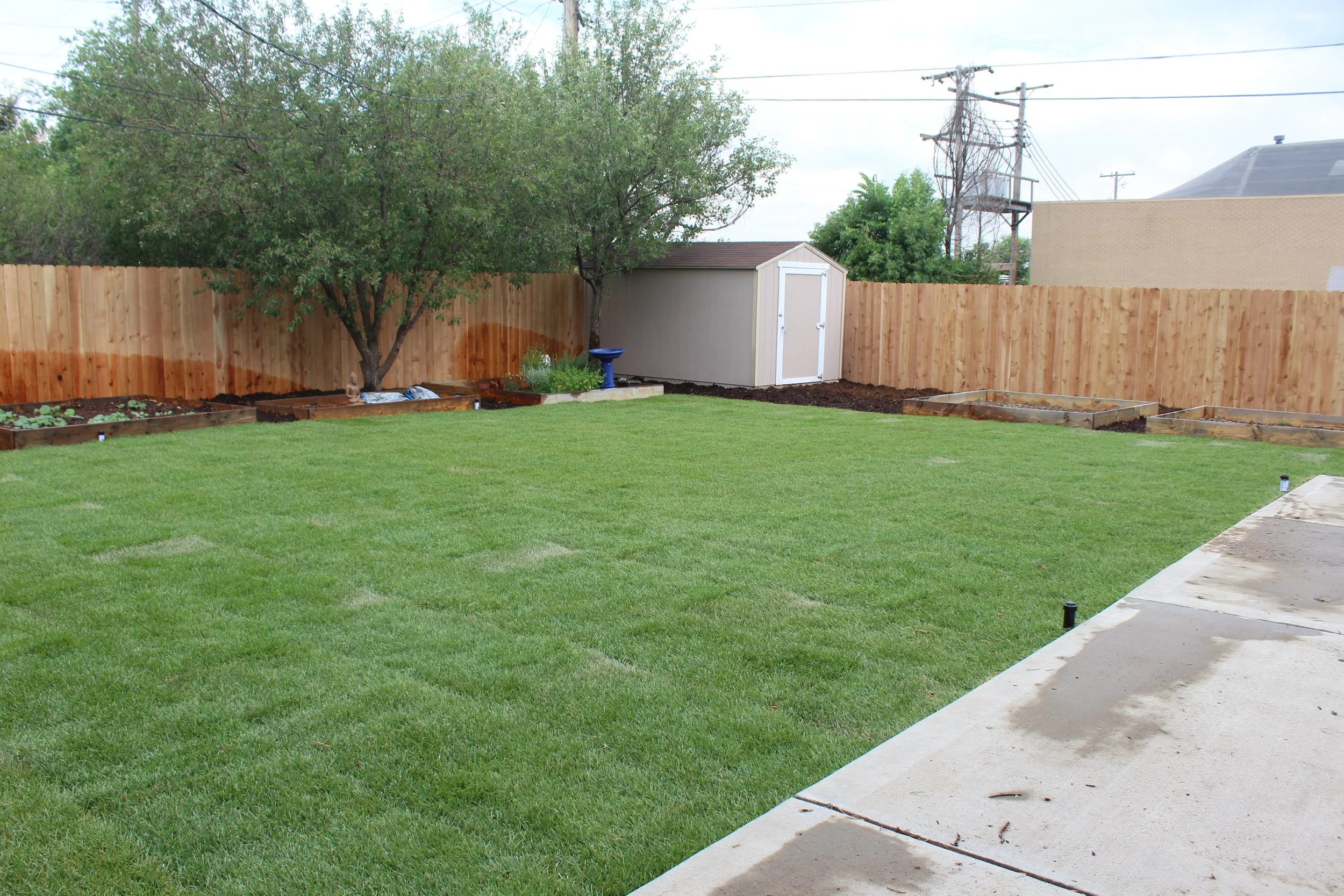 Englewood back yard sod and fence