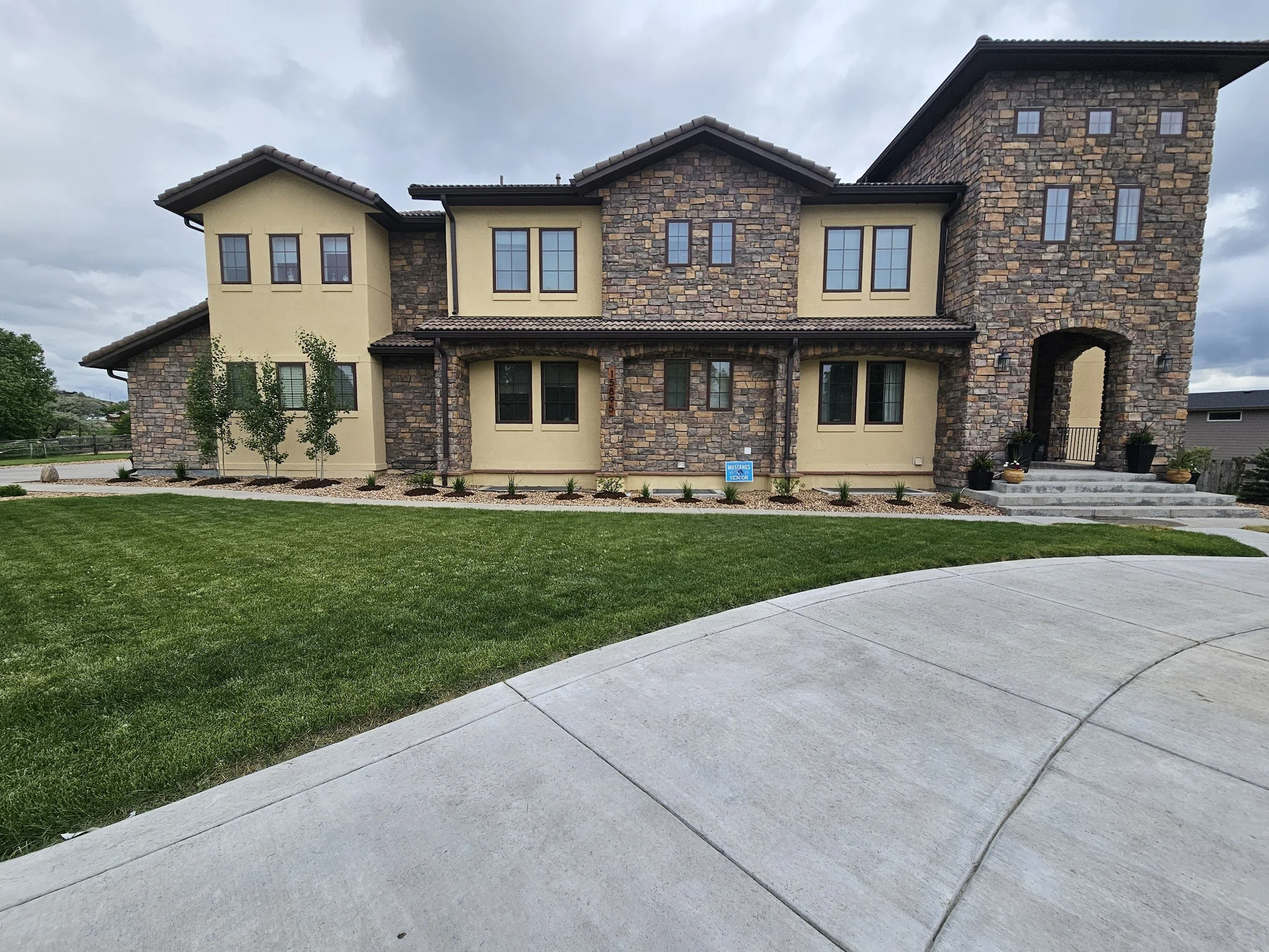 Golden curb appeal upgrade trees and shrubs