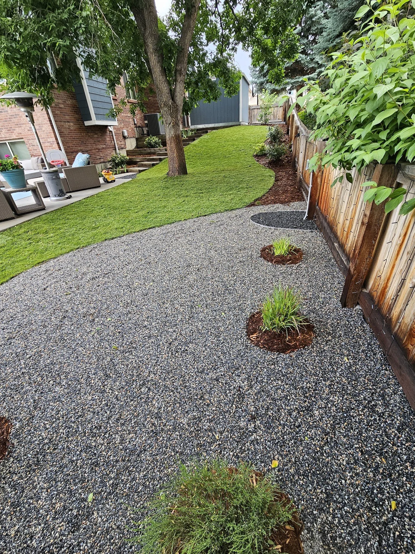 Arvada back yard black granite sod and shrubs
