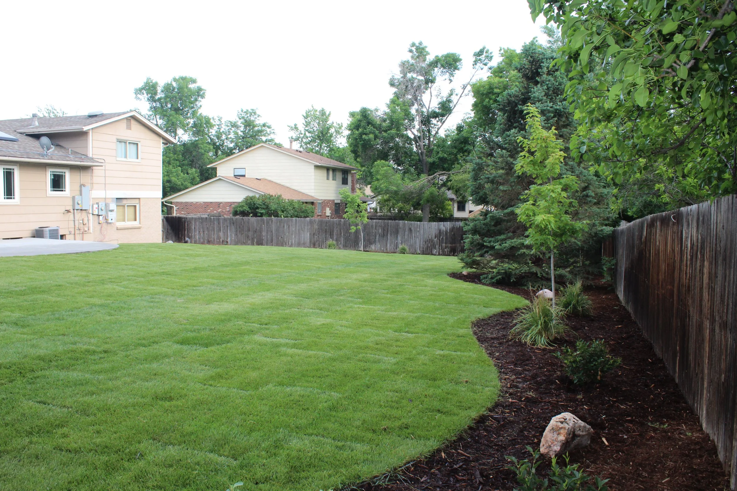 Back Yards
