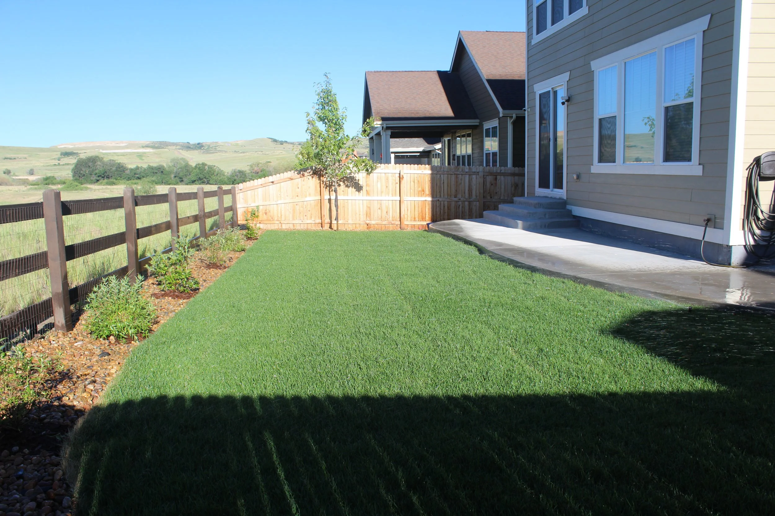 Parker back yard sod and plants with a new concrete patio
